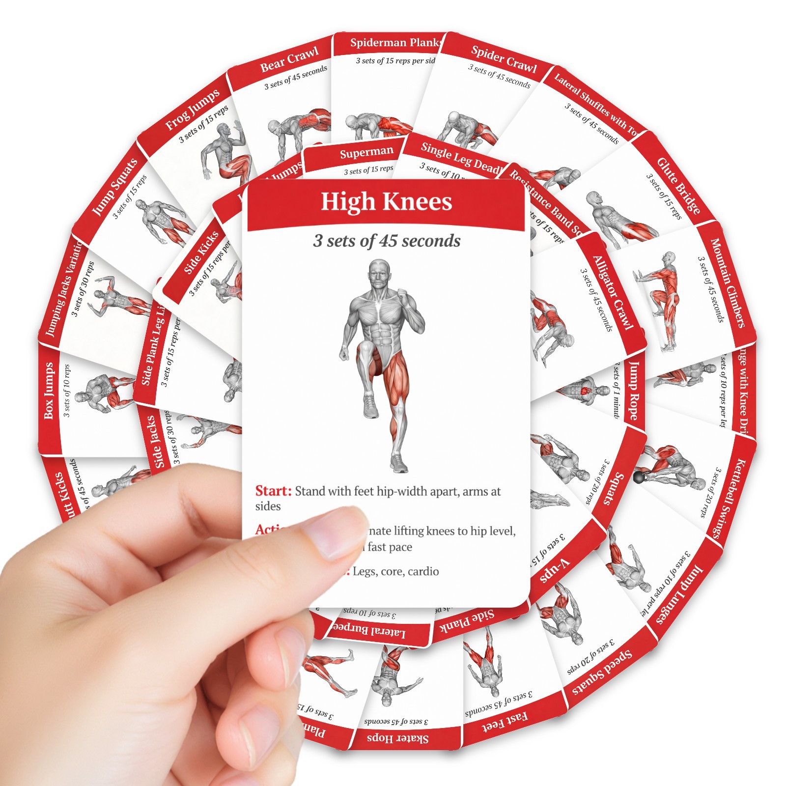 Home Gym Needs - 36 tarjetas de guía de entrenamiento