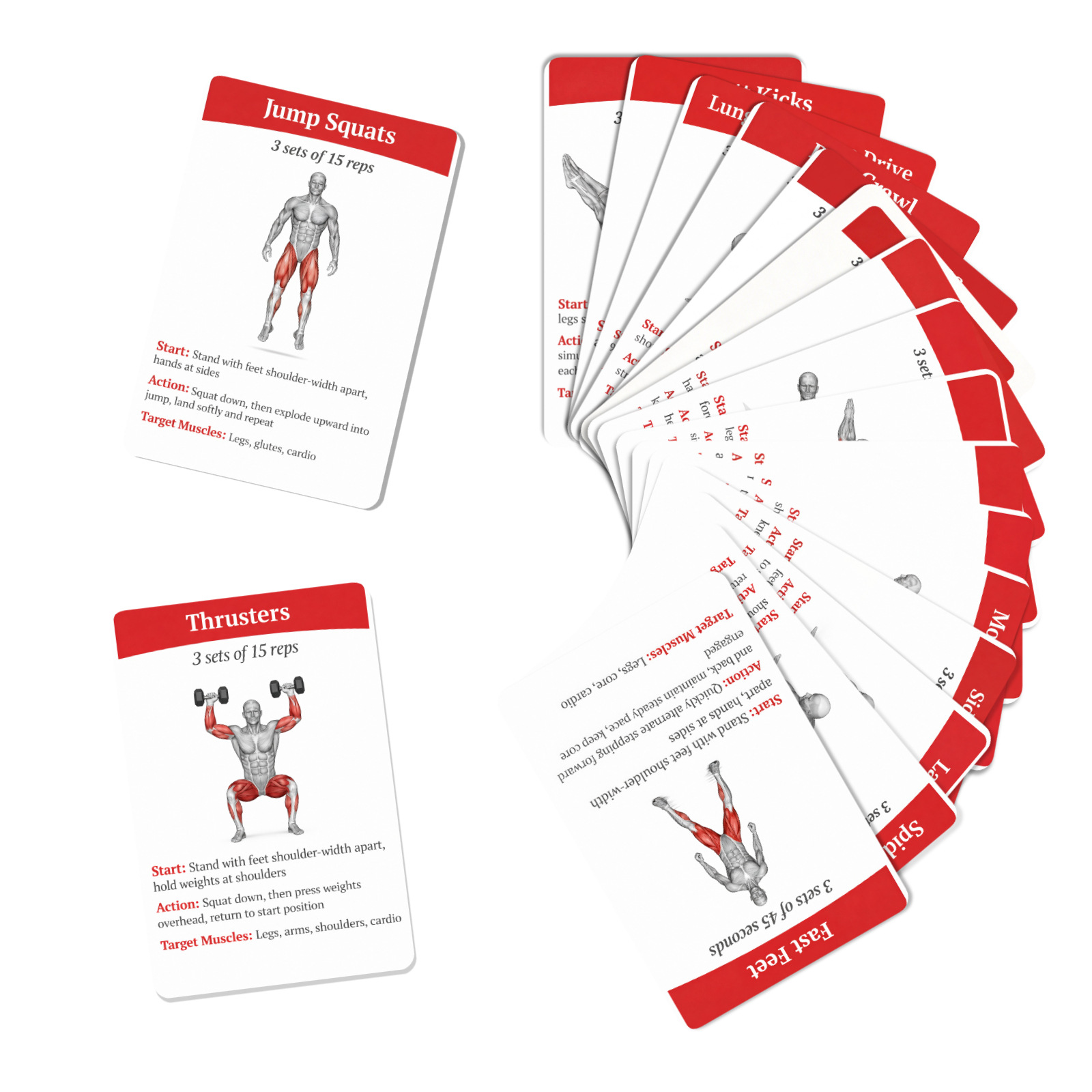 36 tarjetas de guía de entrena - Home Gym Needs reseña y precio