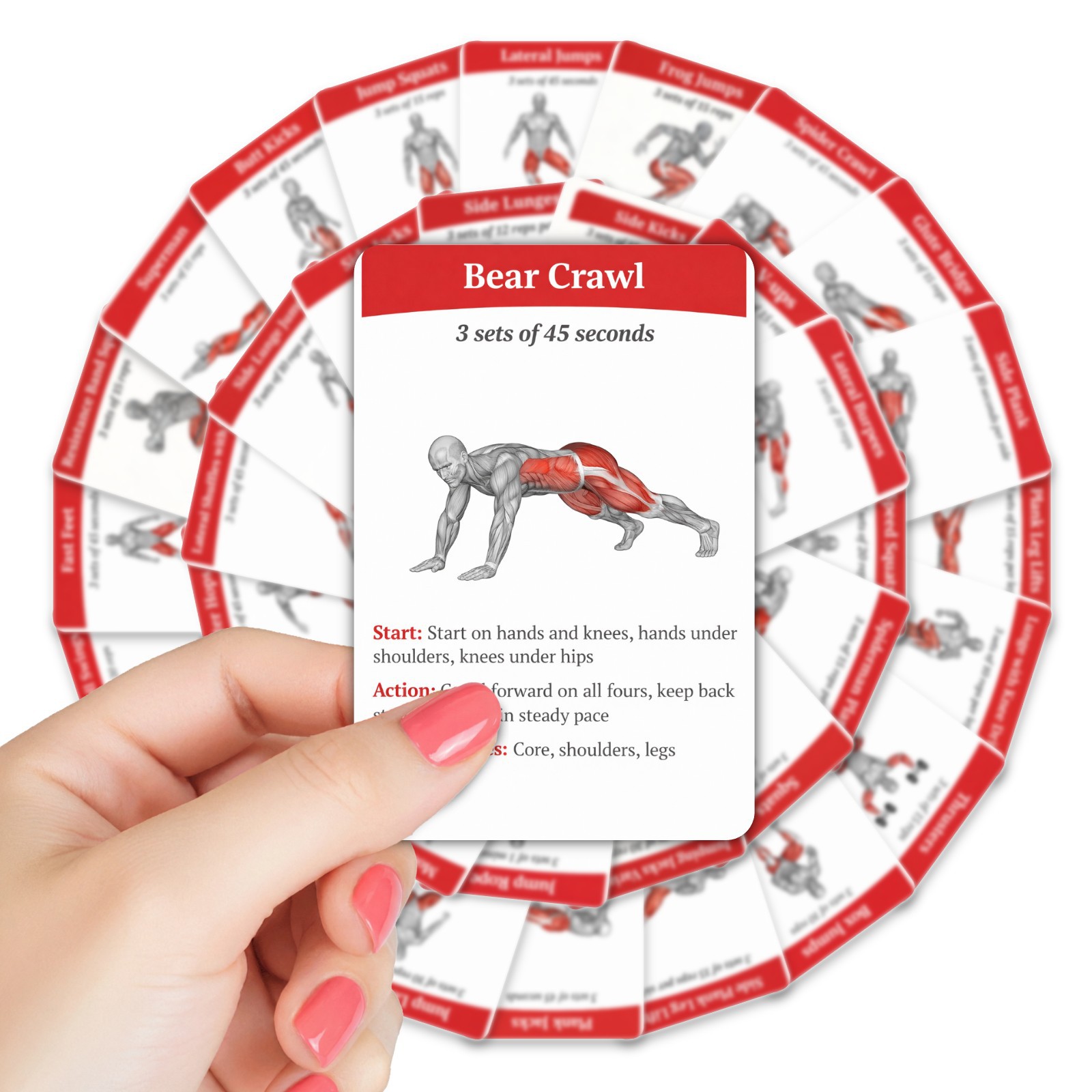 36 tarjetas de guía de entrena - Home Gym Needs reseña y precio